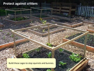 Protect against critters
Build these cages to stop squirrels and bunnies.
 