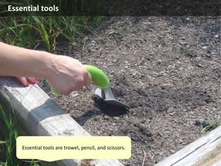 Tools:
Pencil
Trowel
scissors
Essential tools
Essential tools are trowel, pencil, and scissors.
 