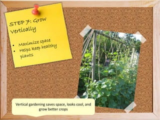 Vertical gardening saves space, looks cool, and
grow better crops
 