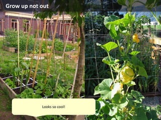 Grow up not out
Looks so cool!
 