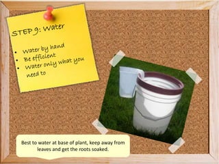 Best to water at base of plant, keep away from
leaves and get the roots soaked.
 