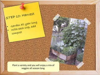 Plant a variety and you will enjoy a mix of
veggies all season long.
 