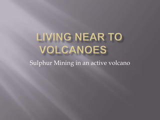 Living Near to Volcanoes	 Sulphur Mining in an active volcano 