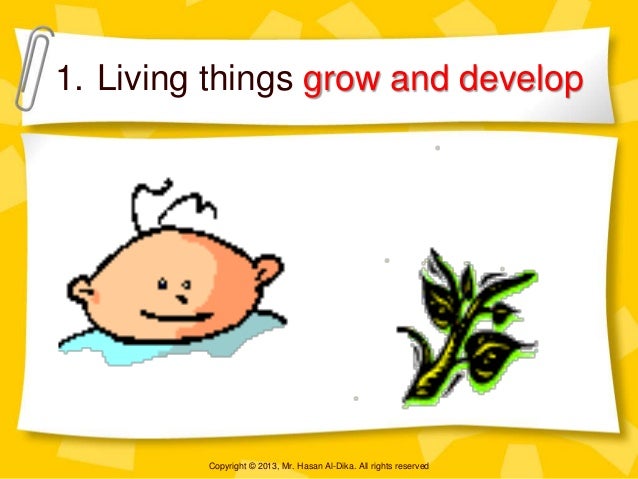 Living & Non-living things