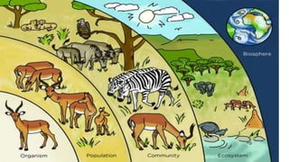 LIVING ORGANISMS IN THE ENVIRONMENT.pptx