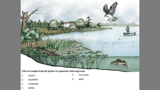 LIVING ORGANISMS IN THE ENVIRONMENT.pptx