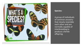 Species:
A group of individuals
of common ancestry
that closely resemble
each other and are
normally capable of
interbreeding to
produce a fertile
offspring.
 