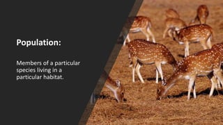 Population:
Members of a particular
species living in a
particular habitat.
 