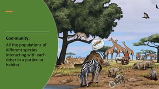 Community:
All the populations of
different species
interacting with each
other in a particular
habitat.
 