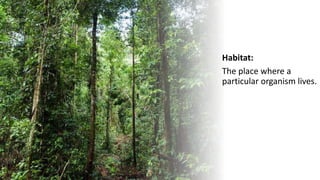 Habitat:
The place where a
particular organism lives.
 
