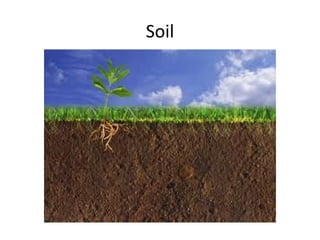 Soil
 