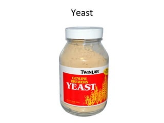 Yeast
 