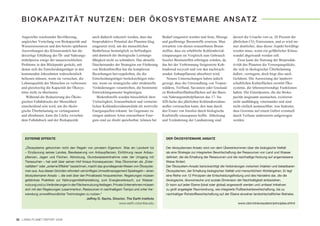 BIOKAPAZITÄT NUTZEN: DER ÖKOSYSTEMARE ANSATZ

   Angesichts wachsender Bevölkerung,               auch dadurch reduziert werden, dass das        Bedarf eingesetzt werden und feste, flüssige     derzeit die Ursache von ca. 20 Prozent der
   ungleicher Verteilung von Biokapazität und       bioproduktive Potential des Planeten klug      und gasförmige Brennstoffe ersetzen. Man         jährlichen CO2-Emissionen, und es wird im-
   Wasserressourcen und den bereits spürbaren       eingesetzt wird, um die menschlichen           erwartete von diesen erneuerbaren Brenn-         mer deutlicher, dass dieser Aspekt bewältigt
   Auswirkungen des Klimawandels hat die            Bedürfnisse bestmöglich zu befriedigen         stoffen, dass sie erhebliche Kohlendioxid-       werden muss, wenn ein gefährlicher Klima-
   derzeitige Erhöhung der Öl- und Nahrungs-        und dennoch die ökologische Leistungs-         einsparungen im Vergleich zum Gebrauch           wandel abgewandt werden soll.
   mittelpreise einige der unausweichlichen         fähigkeit nicht zu schmälern. Das aktuelle     fossiler Brennstoffen erbringen würden, da          Zwar kann die Nutzung der Bioproduk-
   Probleme in den Blickpunkt gerückt, mit          Durcheinander der Strategien zur Förderung     das bei der Verbrennung freigesetzte Koh-        tivität des Planeten die Versorgungslücke,
   denen sich die Entscheidungsträger in den        von Biokraftstoffen hat die komplexen          lendioxid recycelt und von den nachwach-         die sich in ökologischer Überbelastung
   kommenden Jahrzehnten wahrscheinlich             Beziehungen hervorgehoben, die die             senden Anbaupflanzen absorbiert wird.            äußert, verringern, doch birgt dies auch
   befassen müssen, wenn sie versuchen, die         Entscheidungsträger berücksichtigen müs-          Neuere Untersuchungen haben jedoch            Gefahren. Die Ausweitung der landwirt-
   Lebensqualität der Menschen zu verbessern        sen, wenn sie strategische oder strukturelle   gezeigt, dass die Umwandlung von Tropen-         schaftlichen Kulturflächen zerstört Öko-
   und gleichzeitig die Kapazität der Ökosys-       Veränderungen vorantreiben, die bestimmte      wäldern, Torfland, Savannen oder Grasland        systeme, die lebensnotwendige Funktionen
   teme nicht zu überlasten.                        Entwicklungsmuster begünstigen.                zu Biokraftstoffanbauflächen auf der Basis       haben. Die Einzelposten, die die Bioka-
      Während die Reduzierung des Ökolo-               Biokraftstoffe wurden hinsichtlich ihrer    von Nahrungsmittelpflanzen das 17- bis           pazität insgesamt ausmachen, existieren
   gischen Fußabdrucks der Menschheit               Vielseitigkeit, Erneuerbarkeit und vermeint-   420-fache des jährlichen Kohlendioxidaus-        nicht unabhängig voneinander und sind
   entscheidend sein wird, um die ökolo-            lichen Kohlendioxidneutralität als wertvolle   stoßes verursachen kann, den man durch           nicht einfach austauschbar, was bedeutet,
   gische Überbelastung zu verlangsamen             Energiequellen erkannt. Im Gegensatz zu        den Ersatz von fossilen durch biologische        dass Gewinne auf einem Gebiet eventuell
   und abzubauen, kann die Lücke zwischen           einigen anderen Arten erneuerbarer Ener-       Kraftstoffe einzusparen hoffte. Abholzung        durch Verluste anderenorts aufgewogen
   dem Fußabdruck und der Biokapazität              gien sind sie direkt speicherbar, können bei   und Veränderung der Landnutzung sind             werden.




     EXTERNE EFFEKTE                                                                                 DER ÖKOSYSTEMARE ANSATZ

     „Ökosysteme gehorchen nicht den Regeln von privatem Eigentum. Was ein Landwirt tut              Der ökosystemare Ansatz wird von dem Übereinkommen über die biologische Vielfalt
     – Einzäunung seines Landes, Bewässerung von Anbaupflanzen, Einführung neuer Anbau-              als eine Strategie zur integrierten Bewirtschaftung der Ressourcen von Land und Wasser
     pflanzen, Jagen und Fischen, Abholzung, Grundwasserentnahme oder der Umgang mit                 definiert, die die Erhaltung der Ressourcen und die nachhaltige Nutzung auf angemessene
     Tierseuchen – hat weit über seinen Hof hinaus Konsequenzen. Was Ökonomen als „Exter-            Weise fördert.
     nalitäten“ oder „externe Effekte“ bezeichnen, macht das grundlegende Wesen von Ökosyste-        Der Ökosystem-Ansatz berücksichtigt die Verbindungen zwischen intakten und belastbaren
     men aus. Aus diesen Gründen erfordert vernünftiges Umweltmanagement Spielregeln – einen         Ökosystemen, der Erhaltung biologischer Vielfalt und menschlichem Wohlergehen. Er legt
     ökosystemaren Ansatz –, die weit über den Privatbesitz hinausreichen. Regierungen müssen        eine Reihe von 12 Prinzipien der Entscheidungsfindung und des Handelns dar, die die
     gefahrlose Praktiken zur Nahrungsmittelherstellung, zum Energieverbrauch, zur Wasser-           ökologische, ökonomische und soziale Dimension der Nachhaltigkeit einbeziehen.
     nutzung und zu Veränderungen in der Flächennutzung festlegen. Private Unternehmen müssen        Er kann auf jeder Ebene (lokal oder global) angewandt werden und umfasst Initiativen
     sich mit den Regierungen zusammentun, Ressourcen in nachhaltigem Tempo und unter Ver-           zu groß angelegter Raumordnung, wie integrierte Flußbeckenbewirtschaftung, bis zu
     wendung umweltfreundlicher Technologien zu nutzen.“                                             nachhaltiger Rohstoffbewirtschaftung auf der Ebene einzelner landwirtschaftlicher Betriebe.
                                                 Jeffrey D. Sachs, Director, The Earth Institute
                                                                       www.earth.columbia.edu                                                          www.cbd.int/ecosystem/principles.shtml




32 LIVING PLANET REPORT 2008
 