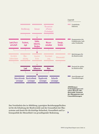 Ressourcen-
                Bevölkerung       Konsum         effizienz
                                               (Technologie)



                                  Städte,
Land-/Forst-     Fischerei,                       Wasser-          Energie,
                                 Industrie,
 wirtschaft         Jagd                         entnahme          Verkehr
                                  Bergbau



  Zerstörte        Über-          Invasive      Verschmut-
                                                                 Klimawandel
Lebensräume       nutzung           Arten          zung



                   Land          Süßwasser         Meer



       Unterstützende Bereitstellende   Regulierende      Kulturelle
         Leistungen     Leistungen       Leistungen       Leistungen
 