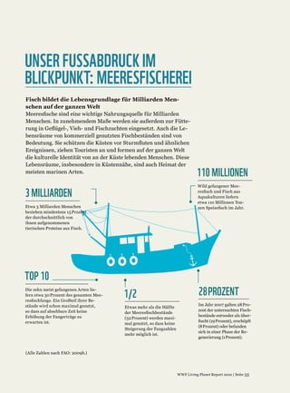 UNSER FUSSABDRUCK IM
BLICKPUNKT: MEERESFISCHEREI




                              110 MILLIONEN
3 MILLIARDEN




TOP 10
                1/2           28 PROZENT
 