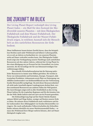 DIE ZUKUNFT IM BLICK
 