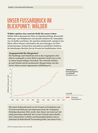 UNSER FUSSABDRUCK IM
BLICKPUNKT: WÄLDER
 