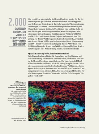 2.000
    GIGATONNEN
   KOHLENSTOFF
     SIND IN DEN
TERRESTRISCHEN
  ÖKOSYSTEMEN
  GESPEICHERT*
 