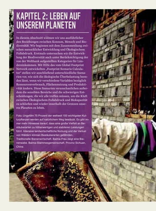 KAPITEL 2: LEBEN AUF
UNSEREM PLANETEN
 