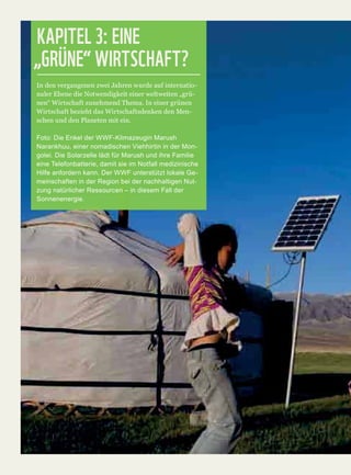 KAPITEL 3: EINE
„GRÜNE“ WIRTSCHAFT?
 