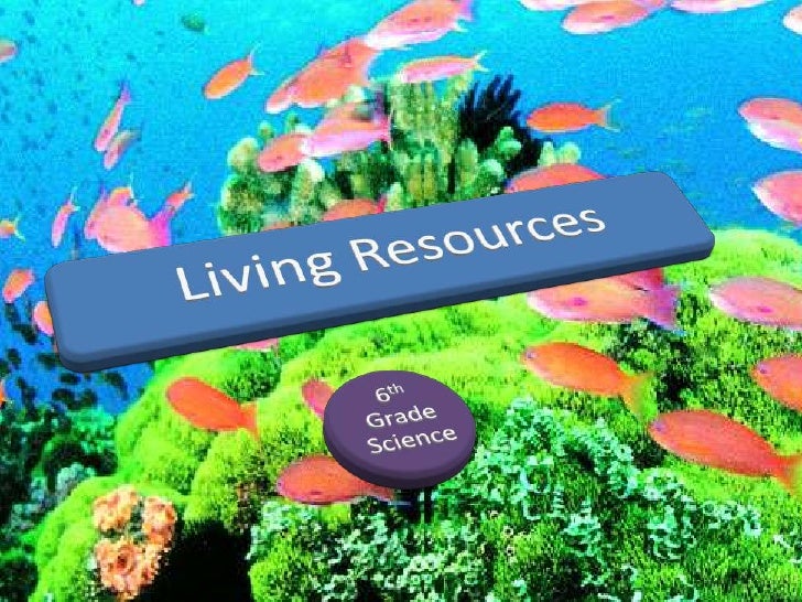 Living resources