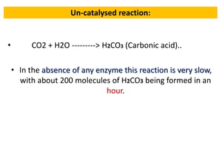 Living State And Enzyme Introduction