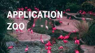 APPLICATION
ZOO
 
