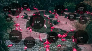 WEBSITE BLOG
SHOP
APPINTRANET NEWS-
LETTER
SELF
SERVICE
MICRO
SITE
LANDING
PAGES
WIKI
WEB
WEB
WEB
 