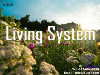 Living System
T- 1-855-694-8886
Email- info@iTutor.com
By iTutor.com
 