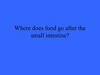 Where does food go after the
     small intestine?
 