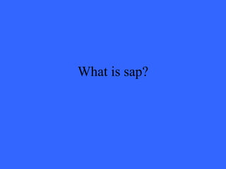 What is sap?
 