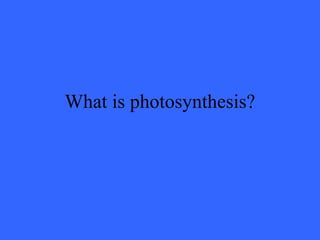 What is photosynthesis?
 