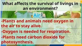 Living things in the environment Science G6 | PPTX