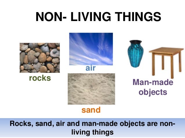 Living thing non living thins. unit 6, 1º science