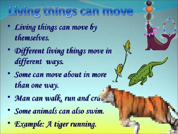 Living and Non Living Things