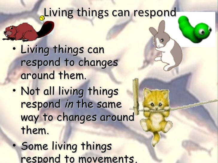 Living and Non Living Things