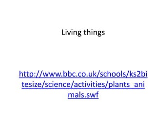 Living things  http://www.bbc.co.uk/schools/ks2bitesize/science/activities/plants_animals.swf 