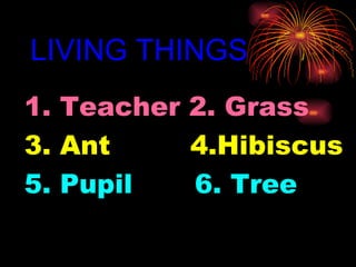 LIVING THINGS 1. Teacher 2. Grass 3. Ant 4.Hibiscus 5. Pupil 6. Tree