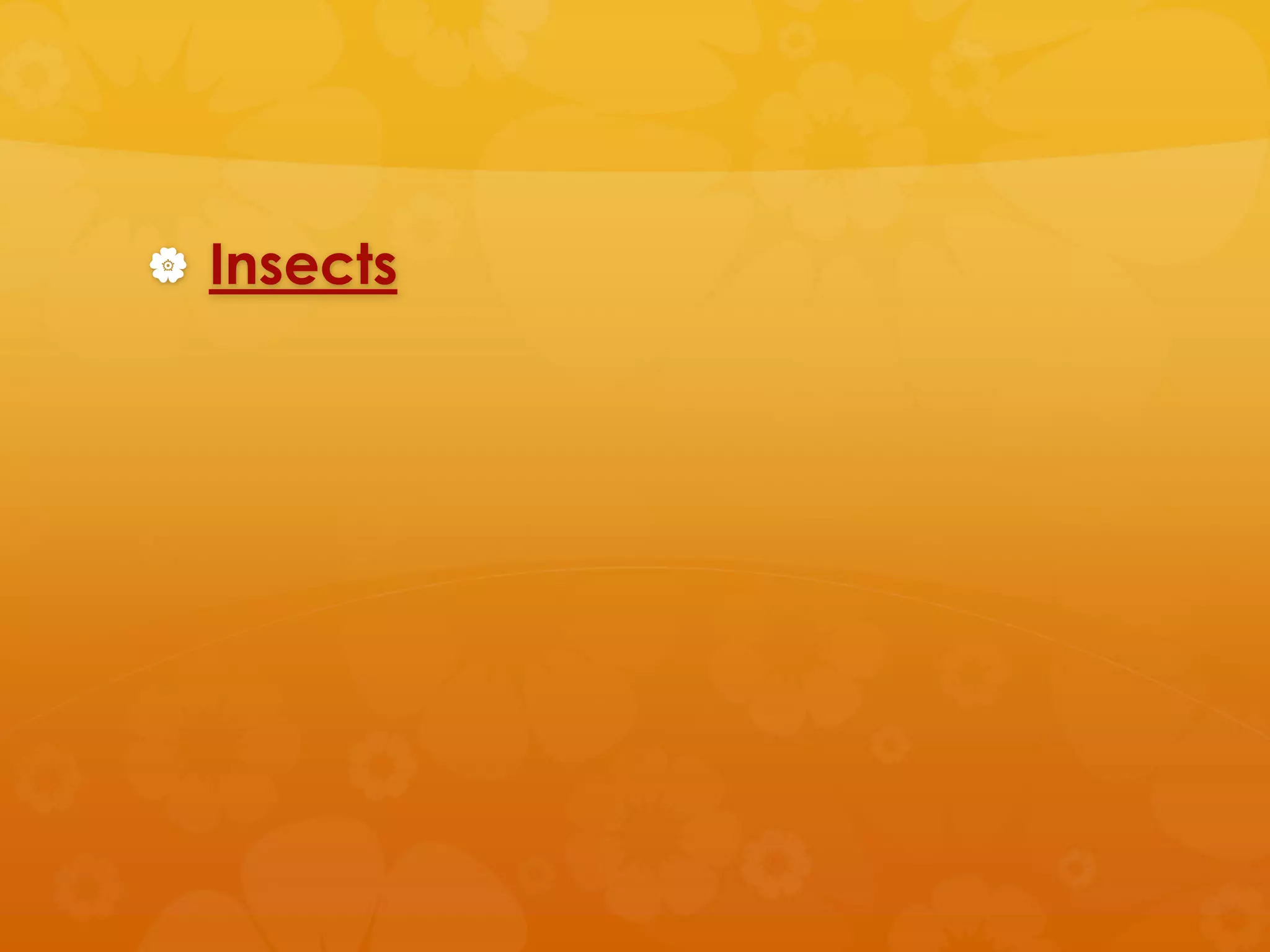  Insects
 