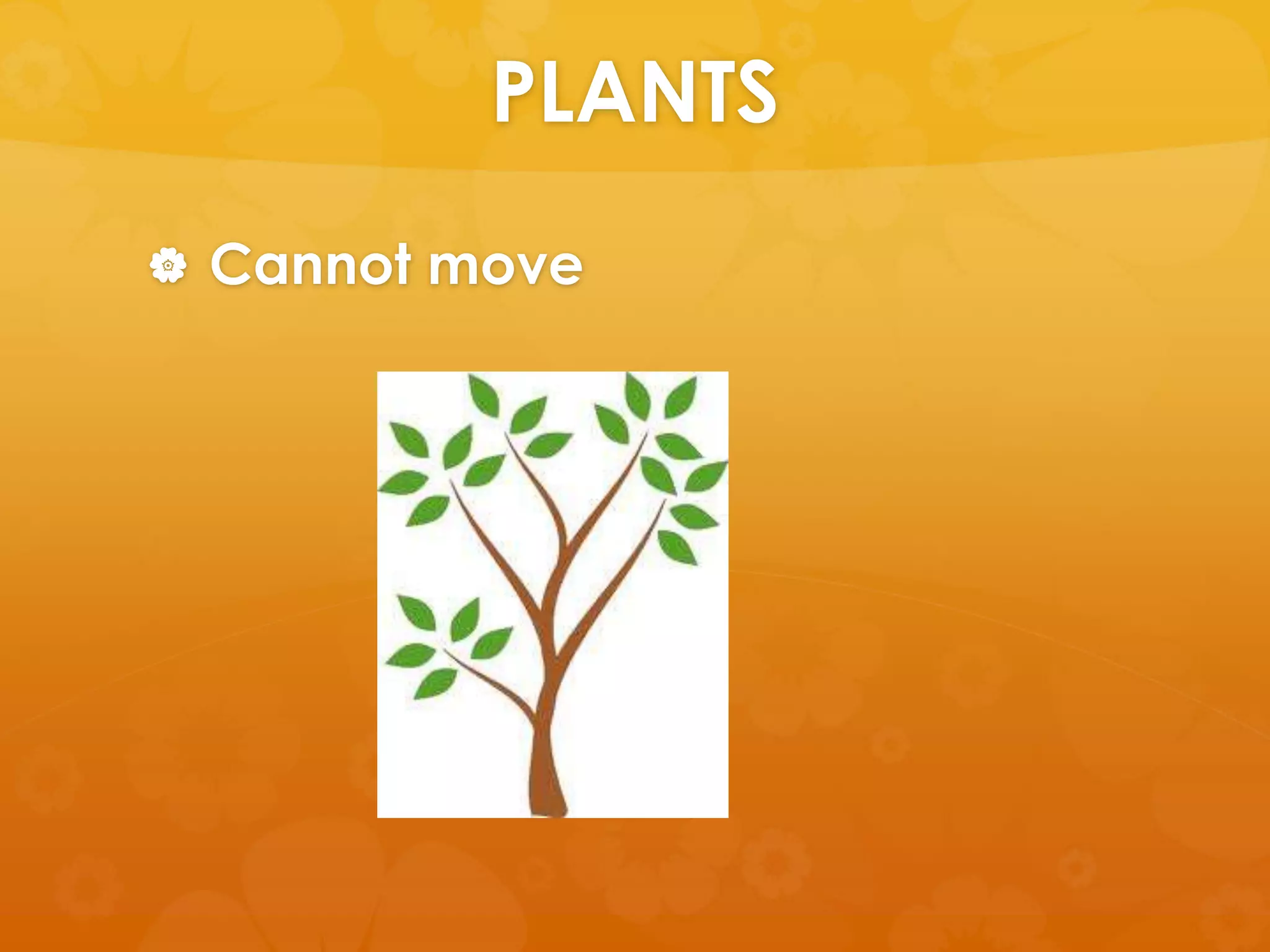 PLANTS
 Cannot move
 