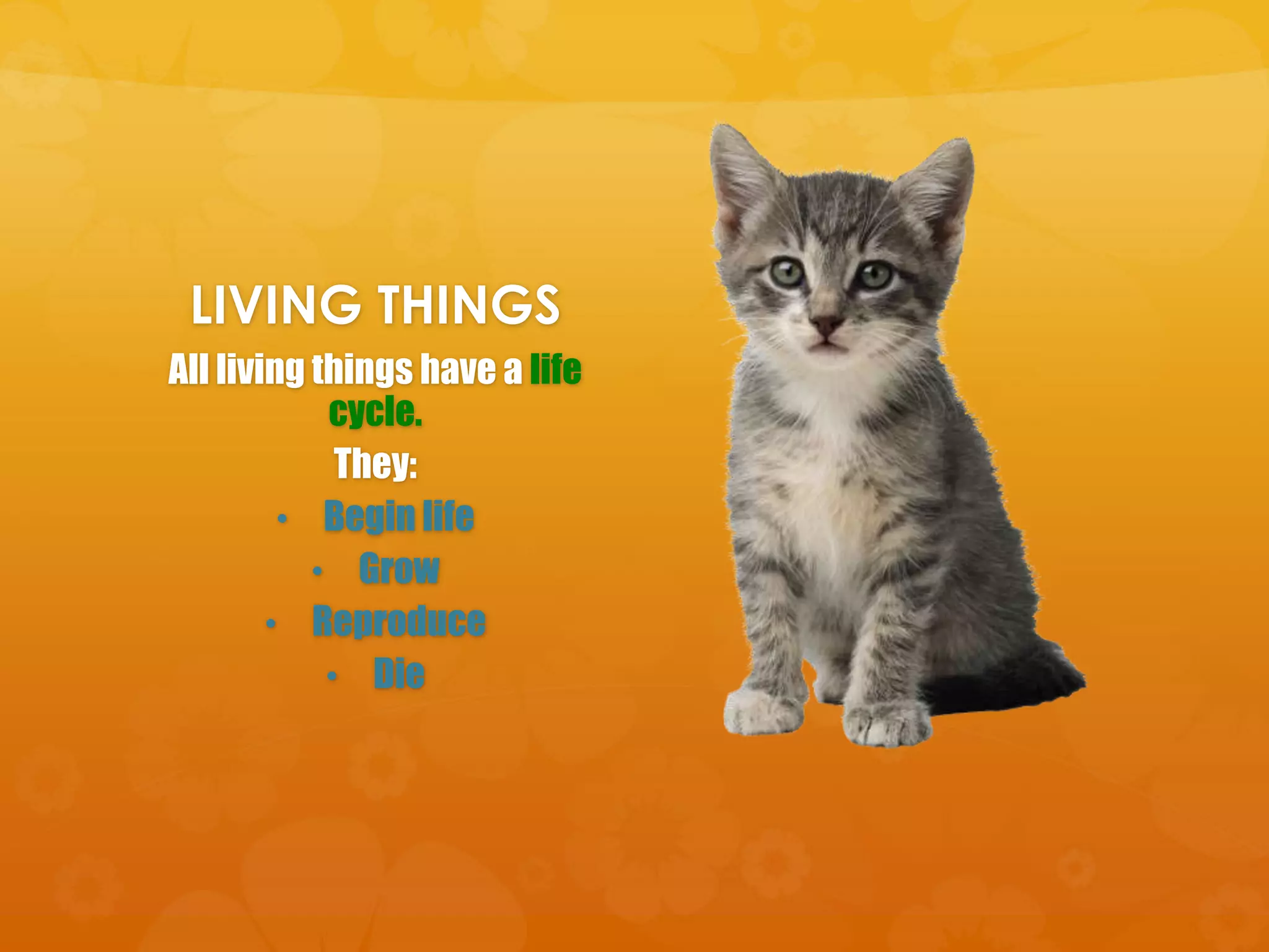 LIVING THINGS
All living things have a life
            cycle.
             They:
         • Begin life
           • Grow
        • Reproduce
            • Die
 