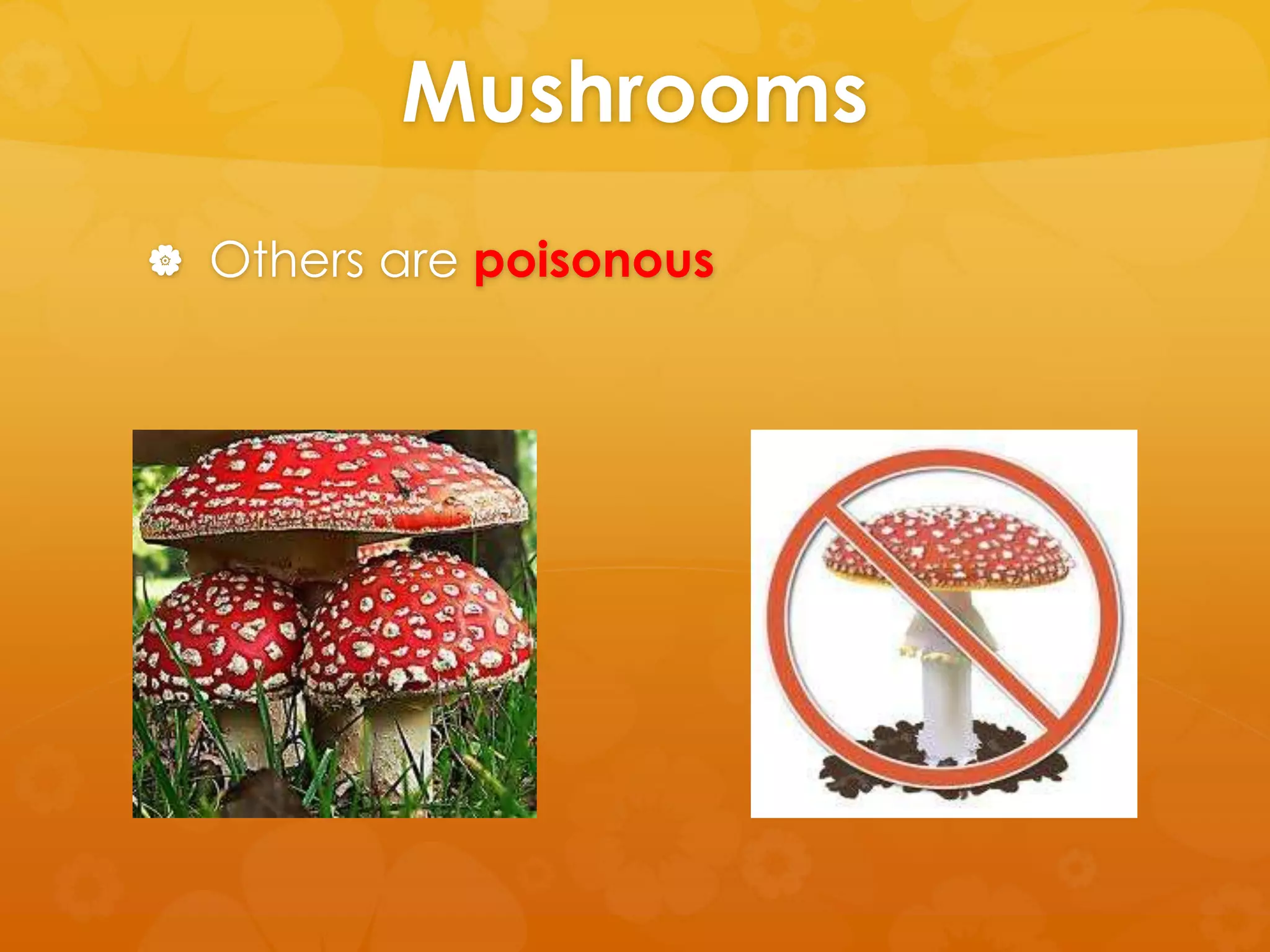 Mushrooms
 Others are poisonous
 