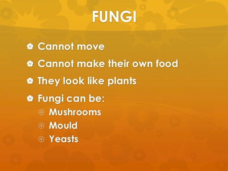 Can Fungi Make There Own Food Can Fungi Make There Own Food