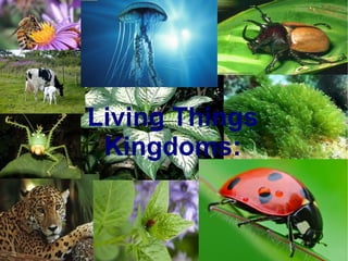 Living Things
 Kingdoms:
 