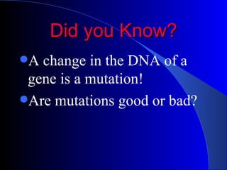 Did you Know? A change in the DNA of a gene is a mutation! Are mutations good or bad? 