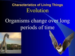 Characteristics of Living Things Evolution Organisms change over long periods of time 