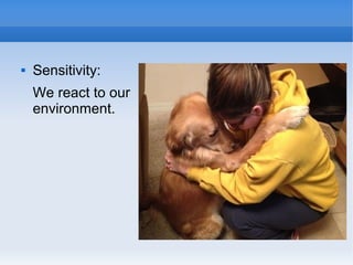 

Sensitivity:
We react to our
environment.

 