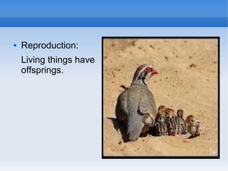 

Reproduction:
Living things have
offsprings.

 