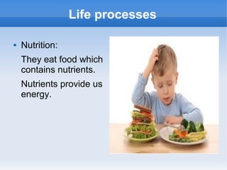 Life processes


Nutrition:
They eat food which
contains nutrients.
Nutrients provide us
energy.

 