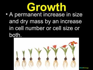 Characteristics Of Living Things